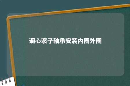 调心滚子轴承安装内圈外圈 